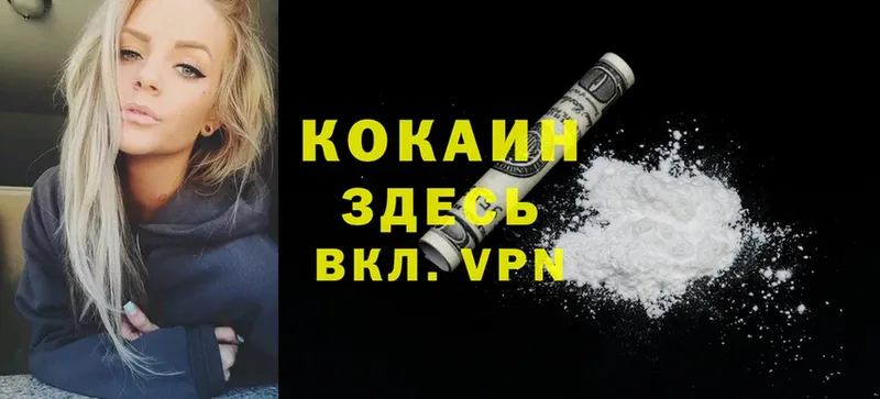 Cocaine Columbia  закладки  Алейск 